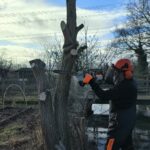 Thijs met d kettingzaag bij een wilgenstam